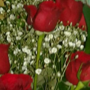 Meet your Posher, Yazmin